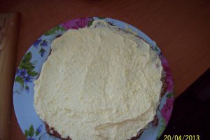 Desert tort Egiptean