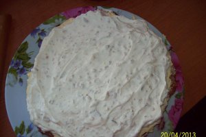 Desert tort Egiptean