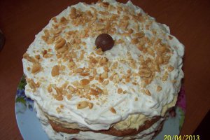 Desert tort Egiptean