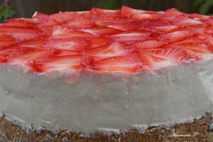 Cheesecake Cu Capsune In 3 Pasi Simpli