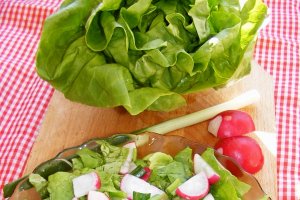 Salata de primavara