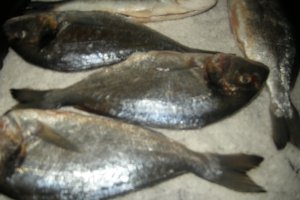 Dorada la cuptor pe sare