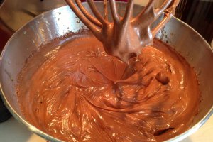 Tort Fudge