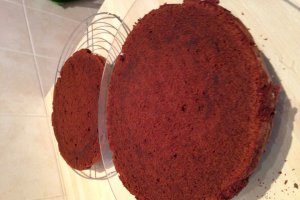 Tort Fudge