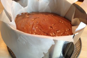Tort Fudge