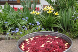Heisse Liebe-Dragoste fierbinte-Hot Love