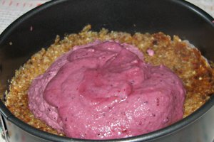 Tort raw cu fructe de padure