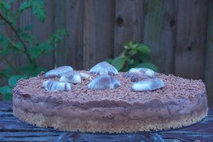 Cheesecake rapid cu ciocolata