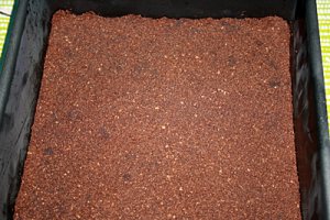 Desert prajitura "Trufa"