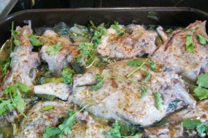 Pulpa de miel pe pat de ceapa si usturoi verde cu frunze de coriandru