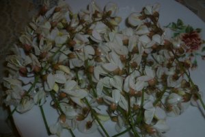 Gogosi din flori de salcam