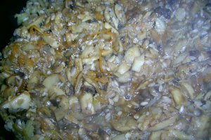 Varza umpluta cu pasat , ciuperci si legume -de post .