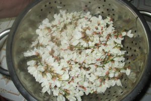 Clatite cu flori de salcam