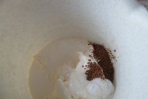 Inghetata cu nes si mascarpone Delaco