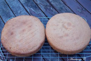 Victoria Sponge