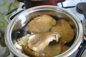 Noodles soia Inedit cu ciuperci