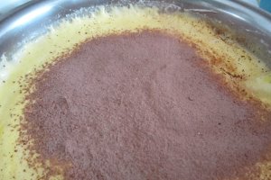 Prajitura cu visine, cacao si ciocolata