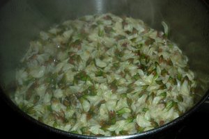 Dulceata din flori de salcam
