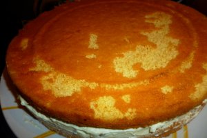 Tort Diplomat