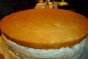 Tort Diplomat