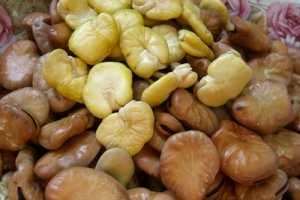 Mancarica de bob