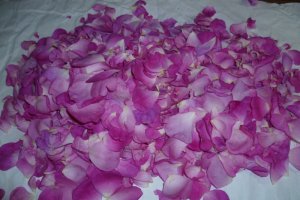 Dulceata de trandafiri