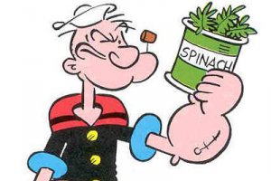 Mancare de spanac