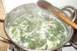 Ciorba de primavara