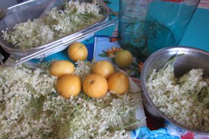 Sirop din flori de soc