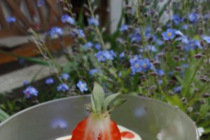 Crema cu mascarpone , capsuni si amarettini