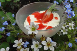 Crema cu mascarpone , capsuni si amarettini