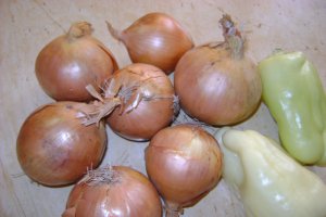 Tocanita de ceapa cu pui