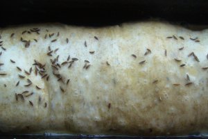 Rulada cu carne
