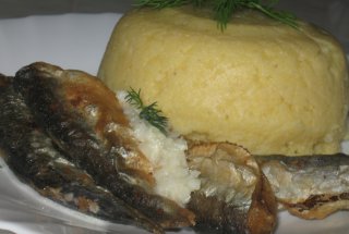 Baby Hering cu mamaliguta si mujdei de usturoi