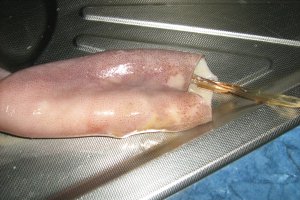Salata cu calamari si cartofi natur