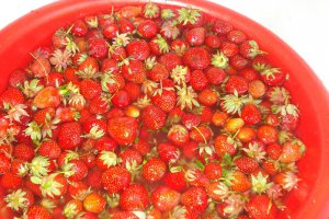 Dulceata de capsuni reteta