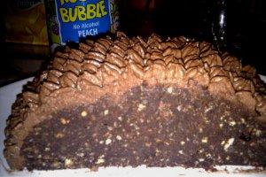 Tort  Arici