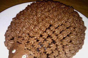 Tort  Arici