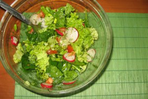 Salata de primavara- de post