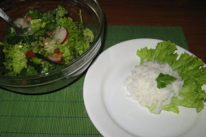 Salata de primavara- de post
