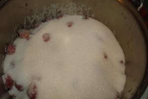 Gem de capsuni