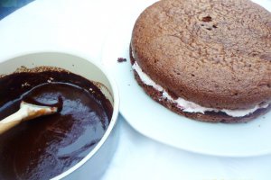 Deliciu cu capsuni si ciocolata