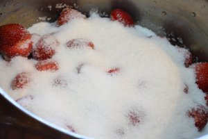 Dulceata de capsuni reteta