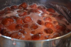 Dulceata de capsuni reteta