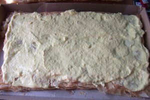 Cremes, cremsnit, crempita