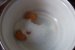 Cremes, cremsnit, crempita-1