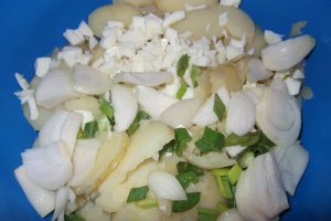 Salata orientala cu cotlet de porc