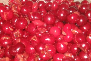 Dulceata de visine