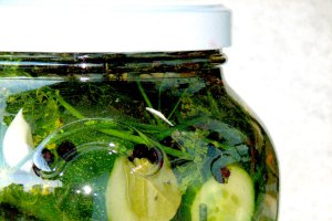 Castraveti in saramura de vara