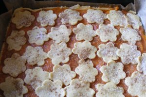 Tarta cu caise si capsuni